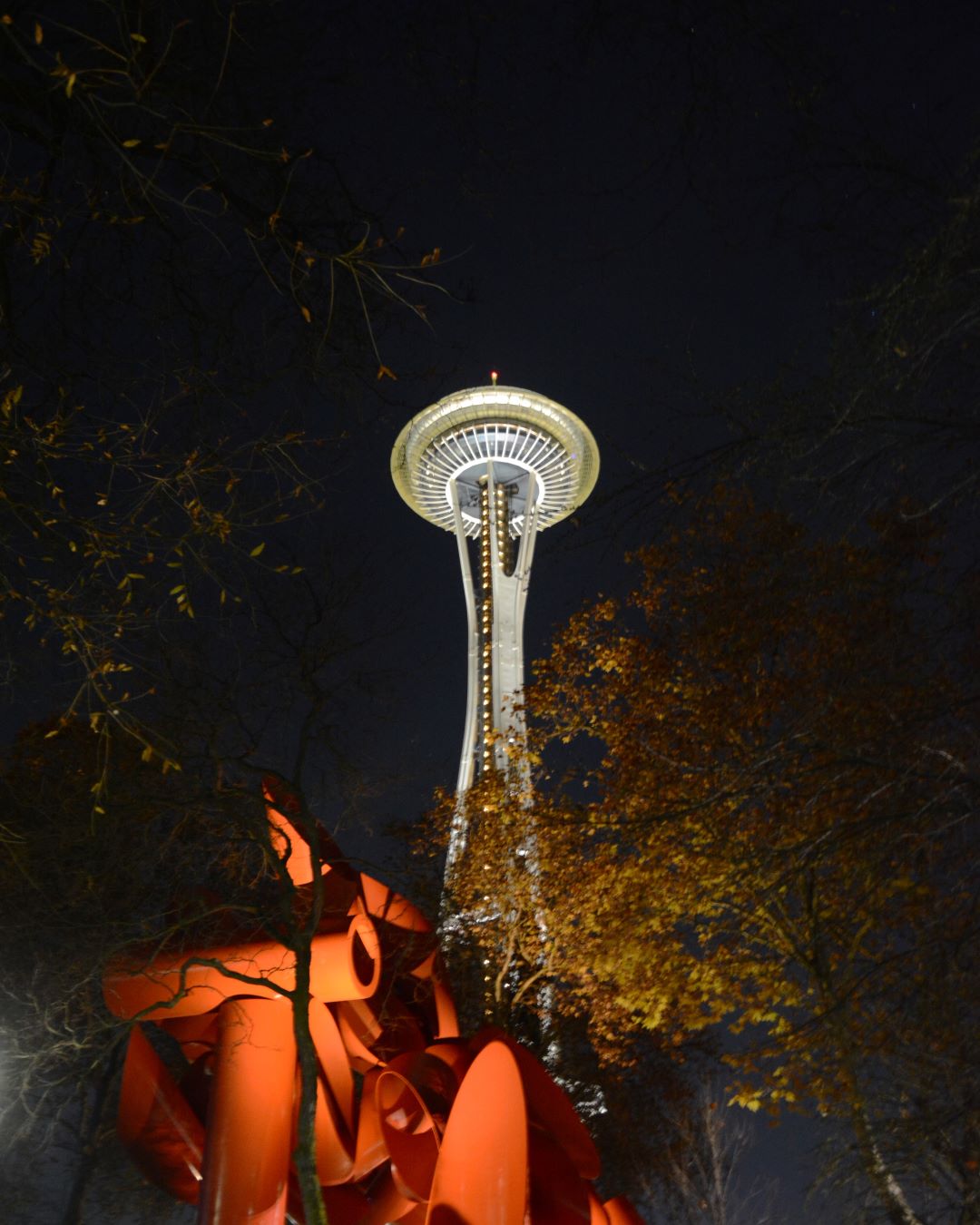 Capturing Seattle’s Space Needle in Fall Season: Early Morning Adventure